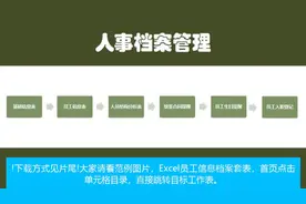 Excel员工信息档案套表，自动生日合同提醒，人员结构全函数操作