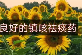 良好的镇咳祛痰药——复方甘草片视频封面