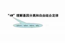 4W理解基因分离和自由组合定律