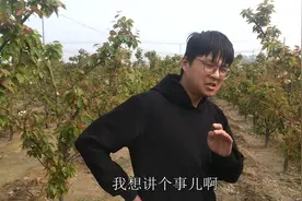 梨园日记：梨树为什么必须人工授粉？除了控制产量，蜜蜂才是关键视频封面
