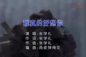 张学礼《我真的好想你》情歌还是伤的好视频封面