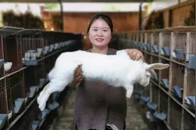 勤姐教你正确抓兔子的方法，抓兔子的几个误区 你中招了吗？视频封面