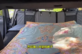 轿车出差，自驾游后备箱床车解决方案。 #比亚迪海豹06视频封面