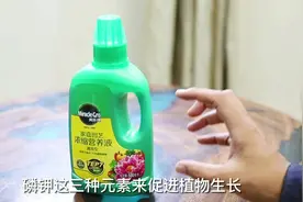 园艺师教你，花卉植物营养液，买回来应该如何正确使用视频封面