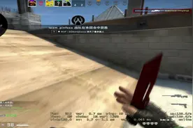 东南亚执法官之faceit视频封面