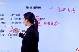 执业药师中药二考试大纲，历年考点整理——理气药（1）#学习打卡视频封面