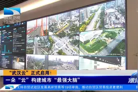 构建城市“最强大脑”！“武汉云”正式启用视频封面