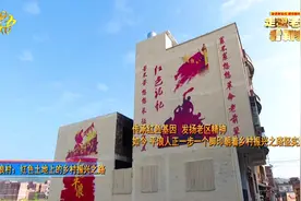 走进老区看新貌系列报道——平浪村：红色土地上的乡村振兴之路视频封面