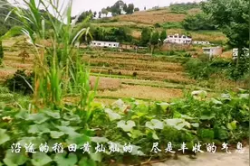 #外婆   外婆是一个温暖又有爱的称呼，愿岁月温柔以待视频封面