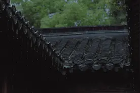 郭庄 I 杭州最美园林推荐
#杭州 #白噪音 #雨声 #郭庄 #雨天视频封面