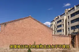 农村集体土地征收，一般有这几部分的补偿 #农村#集体土地视频封面