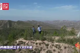 下雨就是冲锋号！四代人的坚守，换来了“陇上塞罕坝”的绿色奇迹