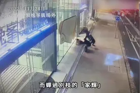 浆糊速报：尖沙咀老新抢人才暖心后续，胜和鼻屎康被亲家切视频封面