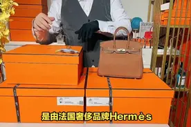 揭秘全球最贵的包Birkin#奢侈品包包 #每天跟我涨知识视频封面