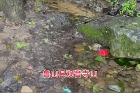 河南省平顶山市鲁山县的深山老林现神泉，冬暖夏凉，甘甜可口