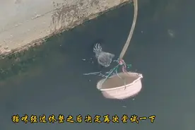 猫咪落水，小伙自制救助工具，最后猫咪获救#救助 #好心人视频封面