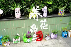 在建邺的校园里，藏着一群养花小高手视频封面