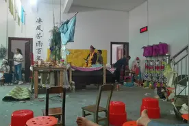 道法自然视频封面
