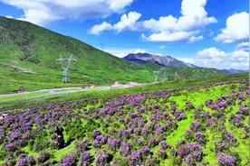 拉脊山的风景太治愈了 #治愈系风景 #高山杜鹃视频封面