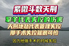 紫微斗数天刑是管理 约束 控制，天刑地劫，就是失控