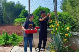 这几天娃儿不晓得怎么回事，白天好好的，晚上就发烧，饭也吃不下视频封面