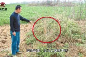 民间故事：坟头之草除不得！#民间故事 #堪舆故事视频封面