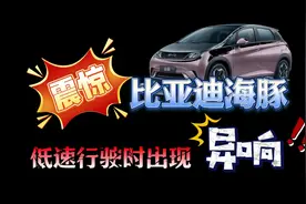 比亚迪海豚出现异响，售后一句话让我破防视频封面