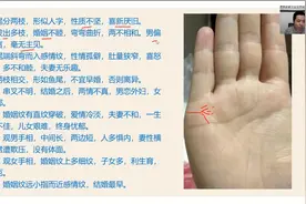手纹哪里主婚姻、子嗣，我们来具体看下!视频封面