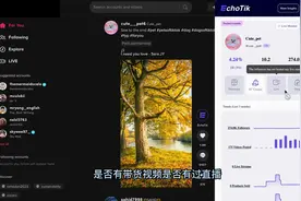 TikTok网页版找达人利器

#tiktok创业 #tiktok跨境电商