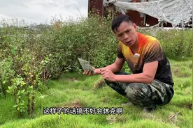 这是红火蚁的克星，专家推荐用饵料，一次就让红火蚁全灭#蚂蚁药