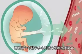 羊水穿刺：准确率超99%。 最佳时间：妊娠16～20 周。  羊穿对象视频封面
