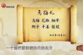 不要小看小小的乌梅，它的临床防癌抗癌功效居然这么强，神奇！视频封面