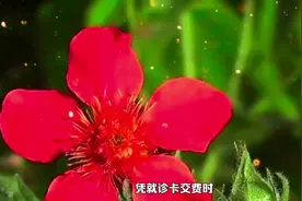 #门诊报销比例 #医保报销 #武汉医保视频封面