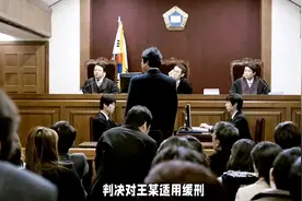 职务侵占罪能缓刑吗？#职务侵占罪量刑标准 #职务侵占罪辩护律师