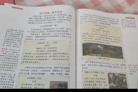 #小学语文课本 #新学期新开始 #让阅读成为一种习惯视频封面