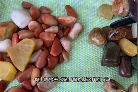 克拉玛依大姐路边卖石头，都是在乌尔禾捡的，听听这堆卖多钱视频封面