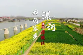 家乡多少事，蛋蛋带你知。今天带大家走进漯河市召陵区#漯河视频封面