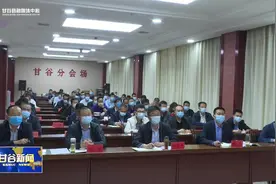 全国、全省自建房安全专项整治工作视频会议召开视频封面