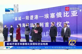 运输成本节约30%！湖北麻城开通至埃塞俄比亚铁海联运班列视频封面