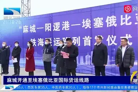 运输成本节约30%！湖北麻城开通至埃塞俄比亚铁海联运班列视频封面