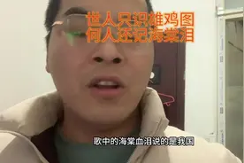 #海棠血痕 #海棠叶与雄鸡 #梦驼铃视频封面