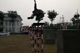 摸爬滚打，艰苦奋斗，雷厉风行，英勇顽强，不畏艰险，不怕困苦视频封面