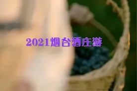 威龙国际酒庄：厚“机”薄发#威龙国际酒庄#烟台葡萄酒#时光陈酿视频封面