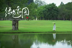 《中国绿城 南宁》#宝藏南宁 #邕有国际范视频封面