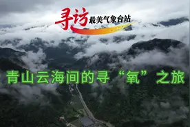 地处南北气候过渡带的陕西商洛，是“中国气候康养之都”，被誉为