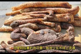 男人需要了解的肉苁蓉，别名大云，有沙漠人参之称，#知识分享视频封面