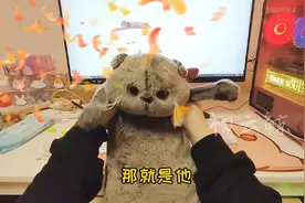 超可爱的俄罗斯猫猫玩偶，#俄罗斯轻工业视频封面
