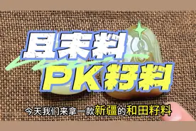 且末料PK籽料 #和田玉 #和田玉知识分享 #大得鉴宝视频封面