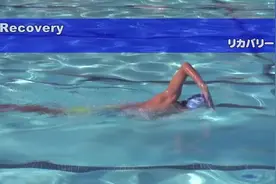 优雅自由泳的七个泳姿阶段#游泳🏊#竹内#全浸式自由泳#特里#TI视频封面