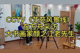 CCTV《艺苑风景线》在方舟养老服务中心采访颜真卿第三十六代孙…视频封面